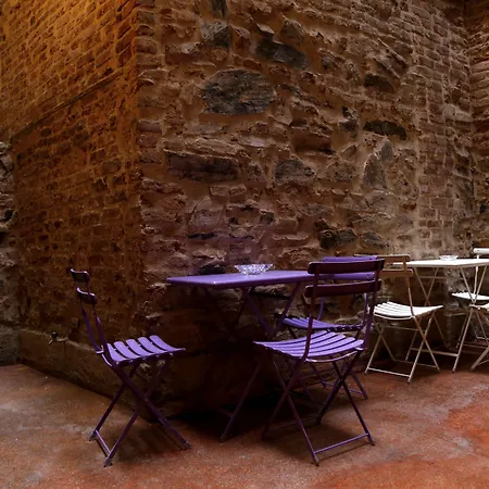 Novus Pera 3*